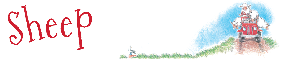 Sheep