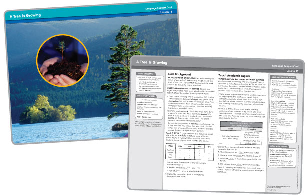Language Support Cards