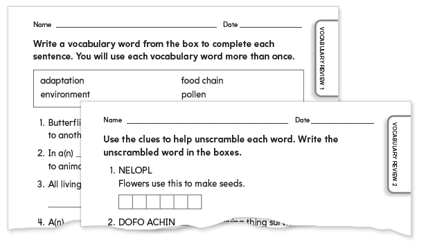 English Vocabulary Review