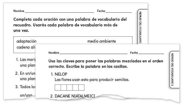 Spanish Vocabulary Review