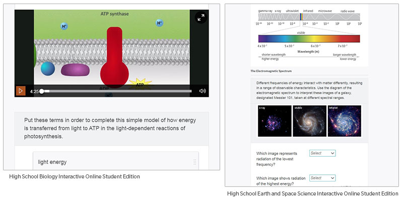 Immersive Digital Curriculum