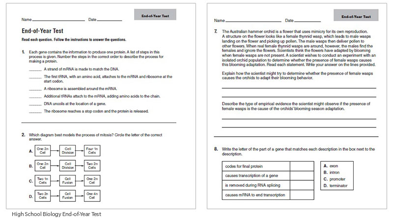 Scaffold Higher Level Thinking Skills