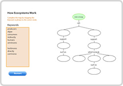 interactive concept maps