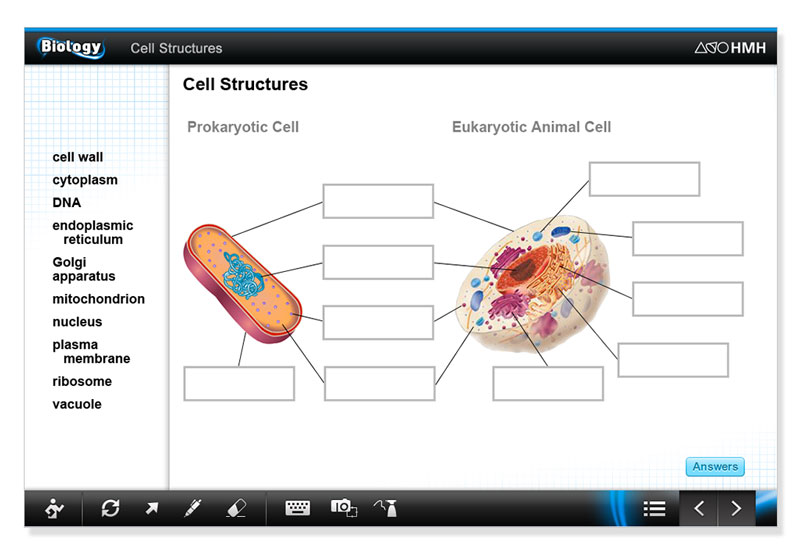 Biology Web