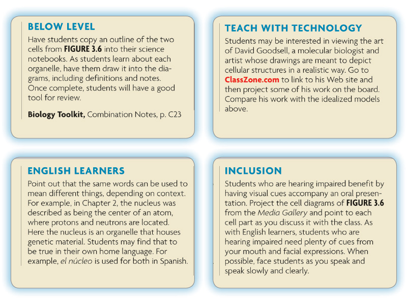 Differentiated strategies