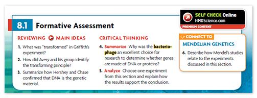 Formative Assessments