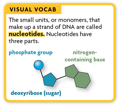 Visual Vocabulary