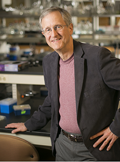 Stephen Nowicki